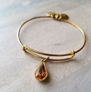 Alex and Ani Topaz Crystal Charm Bangle